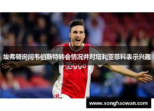 埃弗顿询问韦伯斯特转会情况并对塔利亚菲科表示兴趣