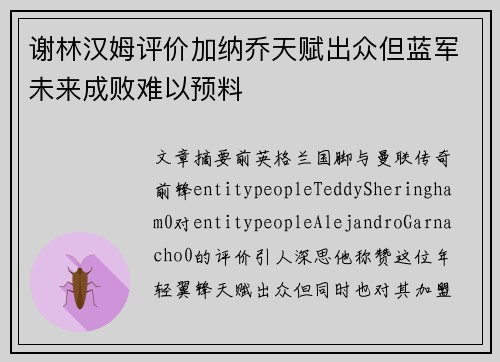 谢林汉姆评价加纳乔天赋出众但蓝军未来成败难以预料